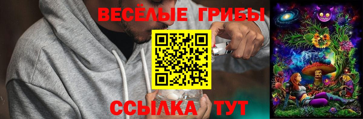 Галлюциногенные грибы Cubensis Камень-на-Оби