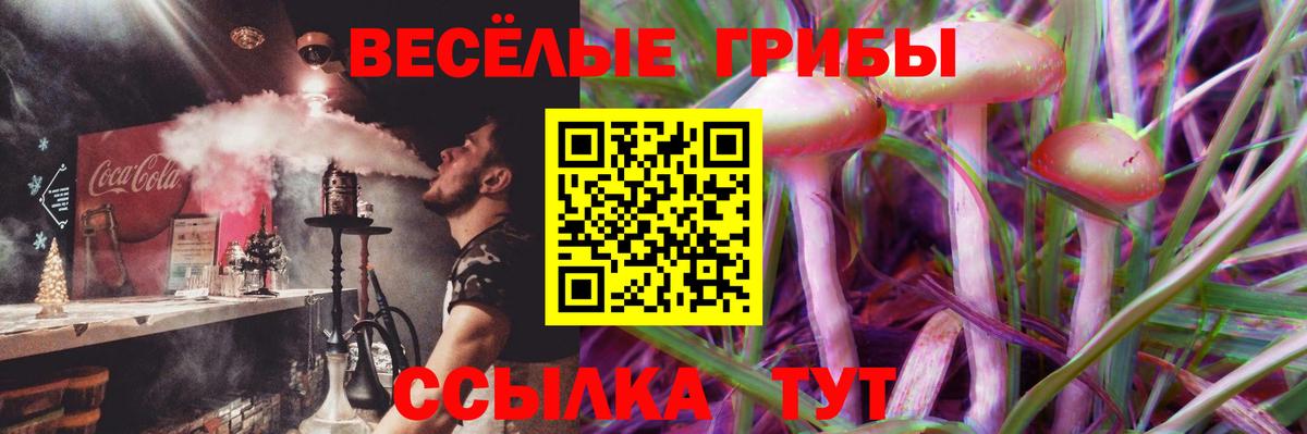 Галлюциногенные грибы ЛСД  где найти наркотики  Камень-на-Оби  Вход с VPN 